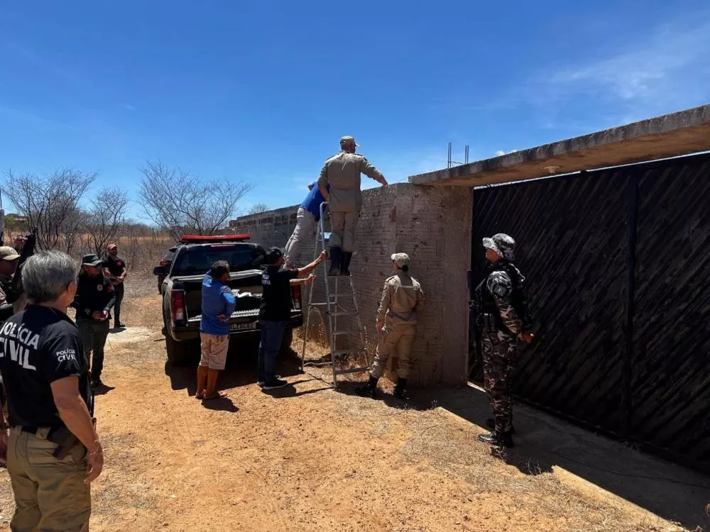 Ação estadual de combate aos maus-tratos contra animais é realizada na cidade de Patos