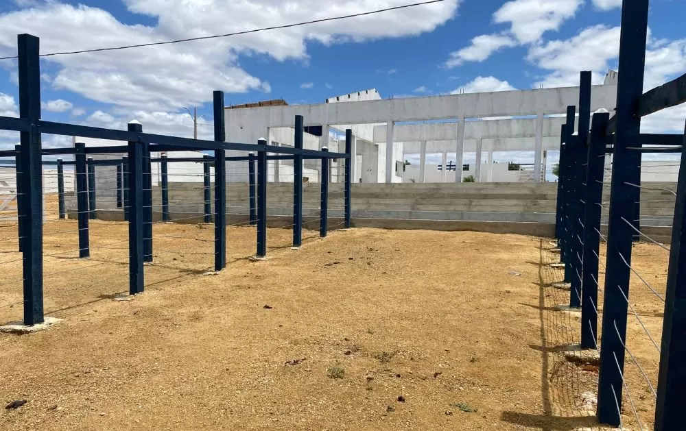 Foto: Reprodução/Polêmica Patos