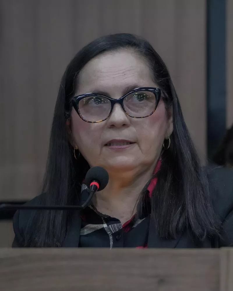 Vereadores já fazem campanha para Mesa Diretora da Câmara de Patos e Fatinha Bocão declara voto a Maikon Minervino