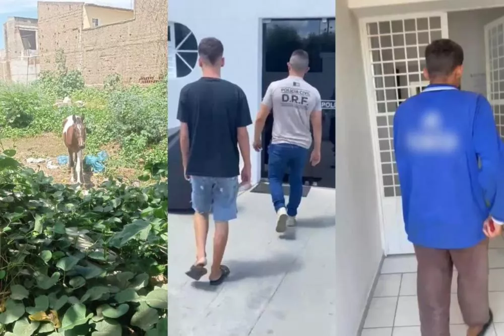 Foto: Reprodução/DRF