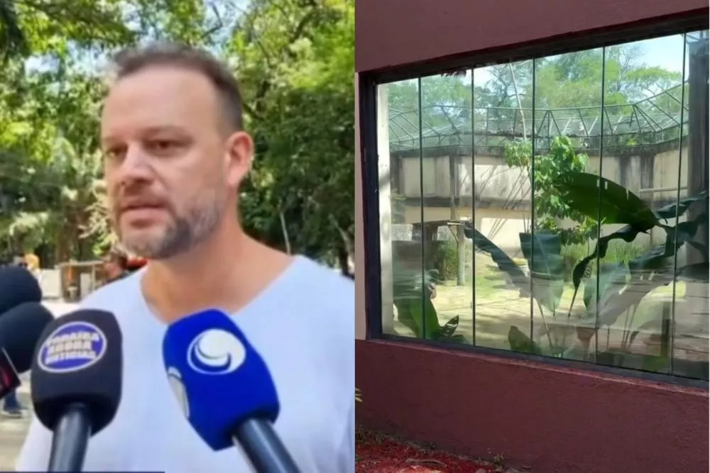 Secretário fala sobre a morte de homem que invadiu recinto na Bica e diz que a leoa agiu por instinto natural: “contenção”