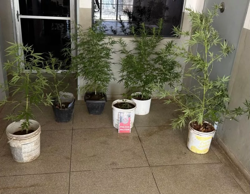 Foto: Divulgação/PM