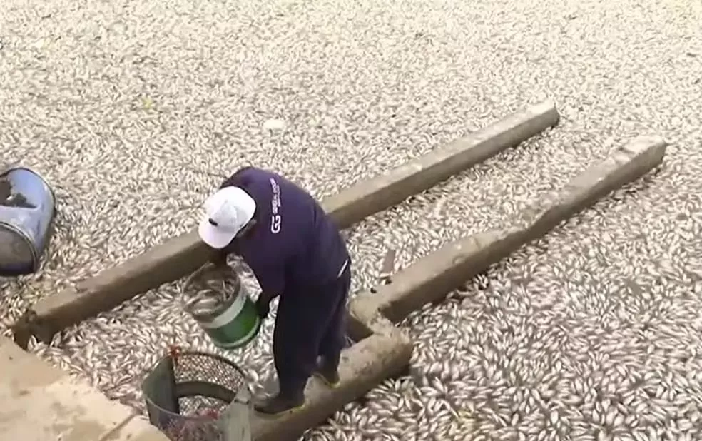 Foto: Reprodução/TV Paraíba