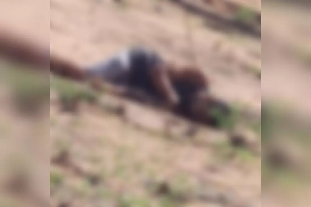 Patos registra primeiro homicídio de 2026 na tarde desta sexta-feira (20)