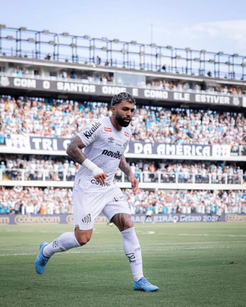 Foto: Raul Baretta/Santos