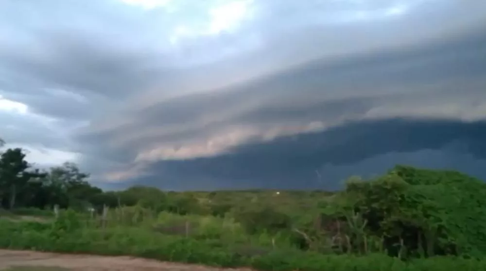 Foto - Marcos Oliveira / Patosonline.com 