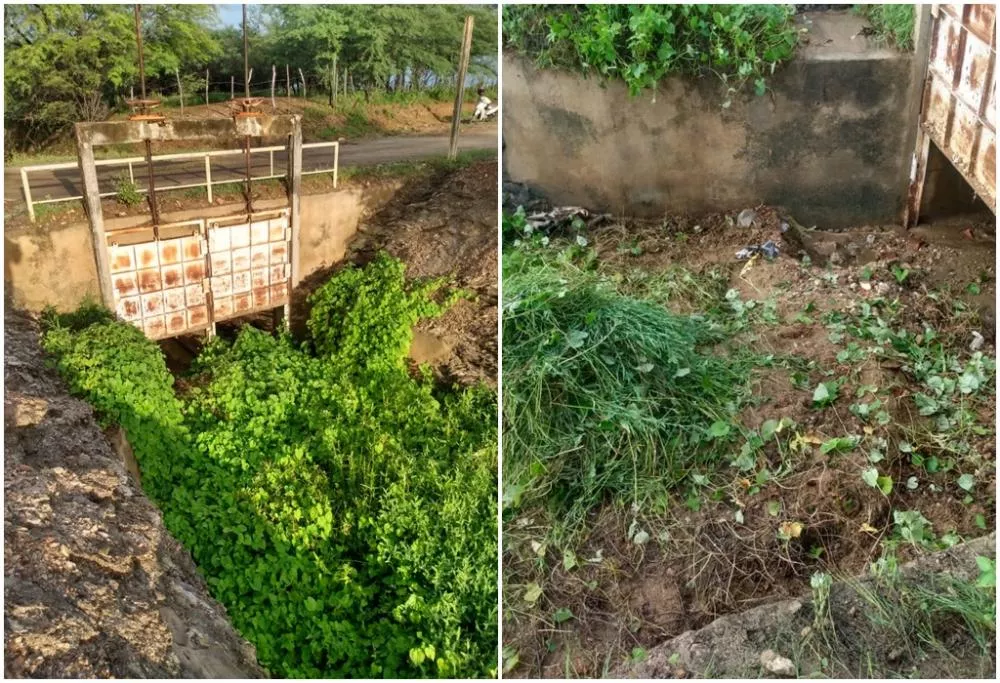 Morador denuncia obstrução em canal entre a Barragem da Farinha e o Açude do Jatobá e cobra ação das autoridades