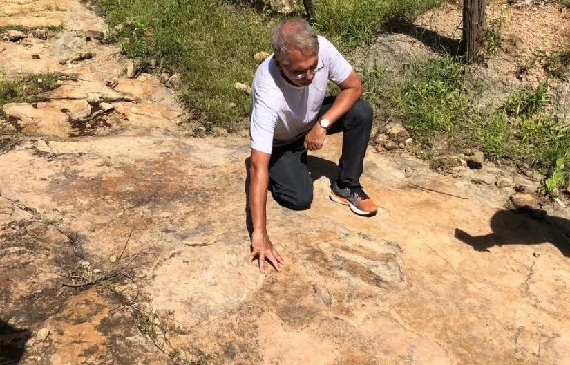 Foto: Divulgação/Secties