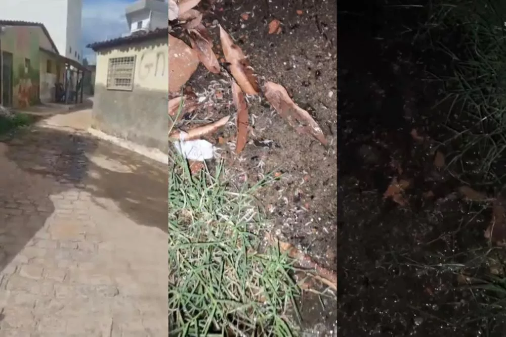Moradores denunciam esgoto retornando para residências na Rua Joaquina Medeiros, no bairro São Sebastião