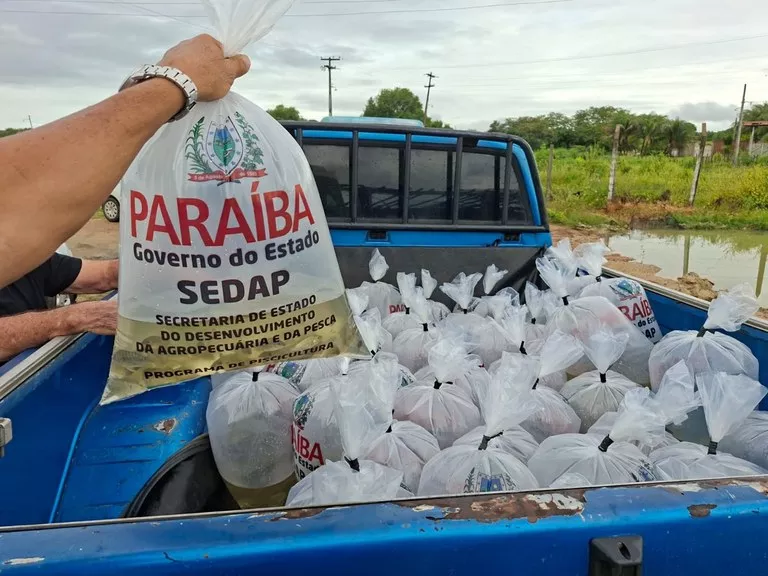 Governo da Paraíba distribui 160 mil alevinos e fortalece piscicultura no Sertão; Confira as cidades contempladas