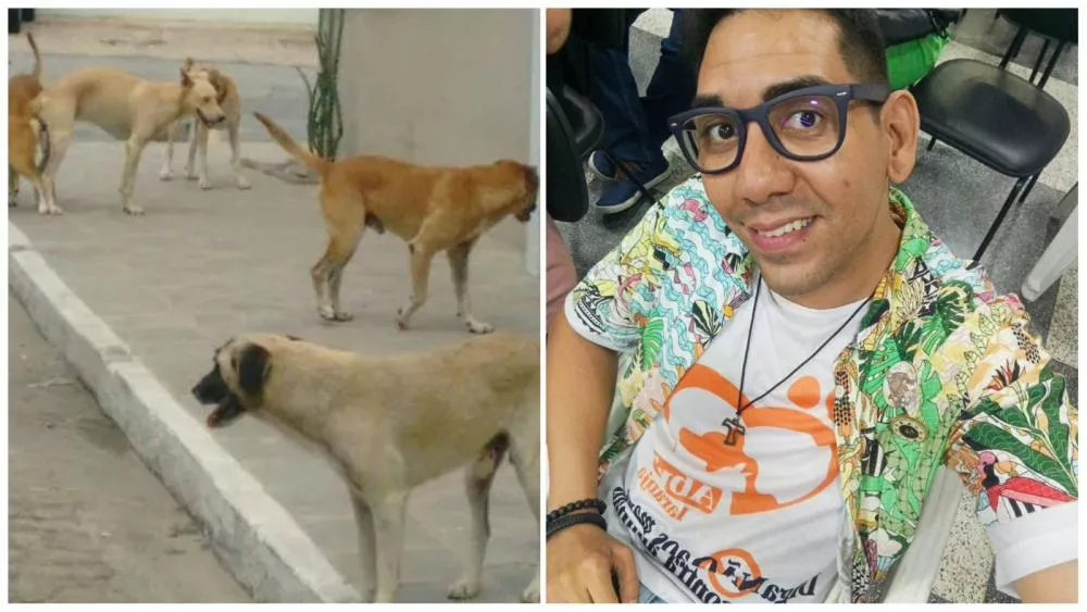 Professor defende retirada de cães agressivos das ruas durante reunião em Patos sobre ataques a moradores