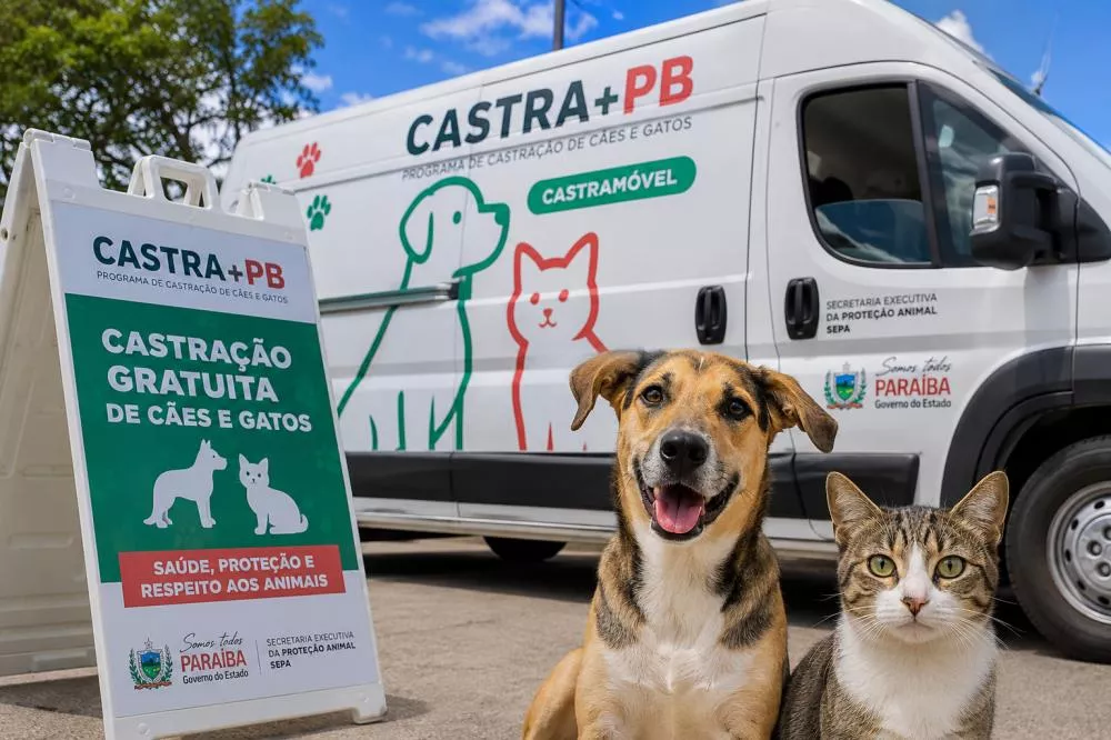 Castra+PB realiza mais de 350 castrações gratuitas em seis municípios paraibanos a partir desta segunda-feira (11)