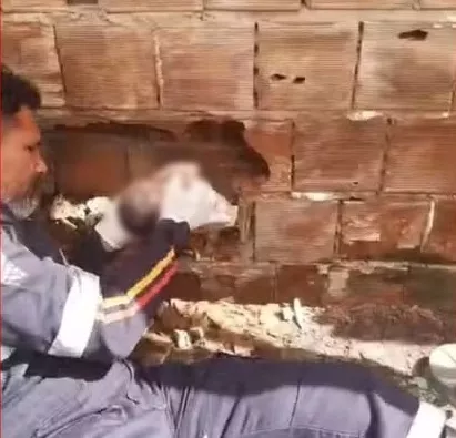 Recém-nascido encontrado abandonado em Caaporã morre após sofrer nove paradas cardiorrespiratórias