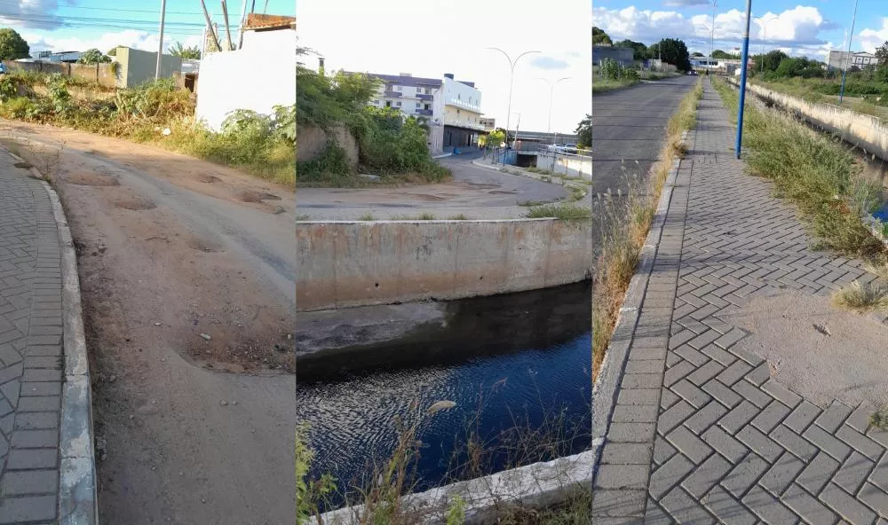Patoense reclamara que via Canal do Frango está tomada pelo mato e calçadas ocupadas pelo mato