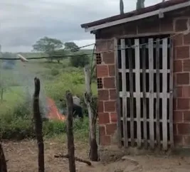 Homem é preso acusado de matar cachorro após espancamento e e jogar animal em fogueira na Paraíba