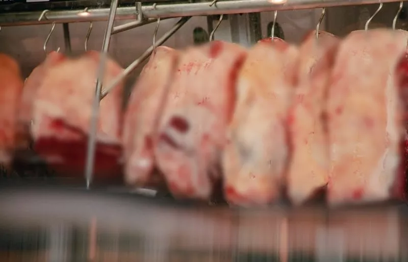 PROCON Patos identifica variações de até 75,40% nos preços de carnes e produtos de granja