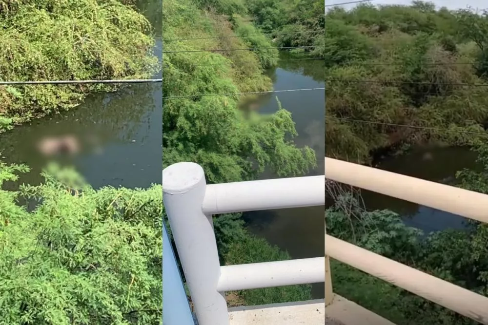 Corpo em avançado estado de decomposição é encontrado no Rio Espinharas, em Patos
