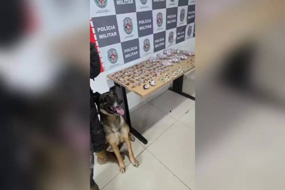 Foto: Reprodução/Polícia Militar