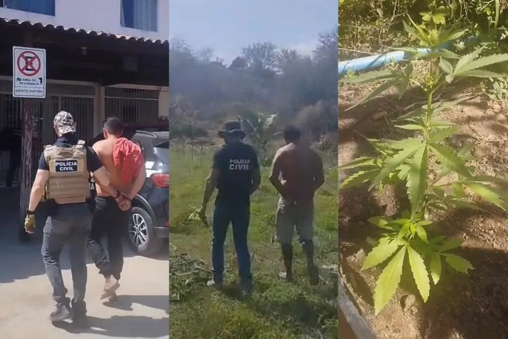 Foto: Reprodução/Polícia Civil