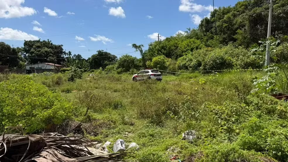 Cabeça encontrada em mata de João Pessoa será submetida a exames para identificação