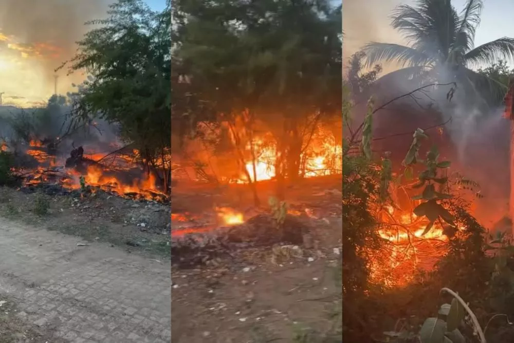 Incêndio em terreno assusta moradores e por pouco não atinge residências no bairro Bivar Olinto, em Patos