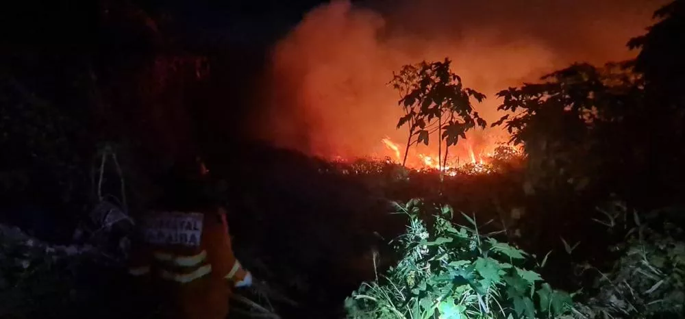 Bombeiros combatem incêndio em vegetação em fazenda nas proximidades do 4º BBM, em Patos