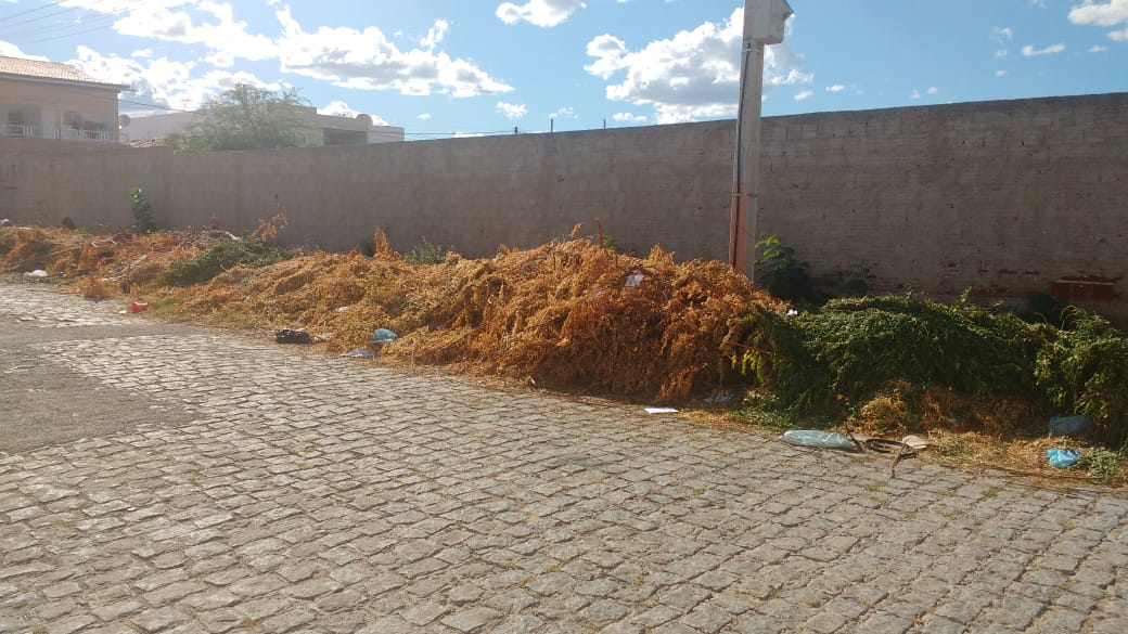 Mau exemplo: população deposita galhos de árvores próximo a via pública na Zona Oeste de Patos