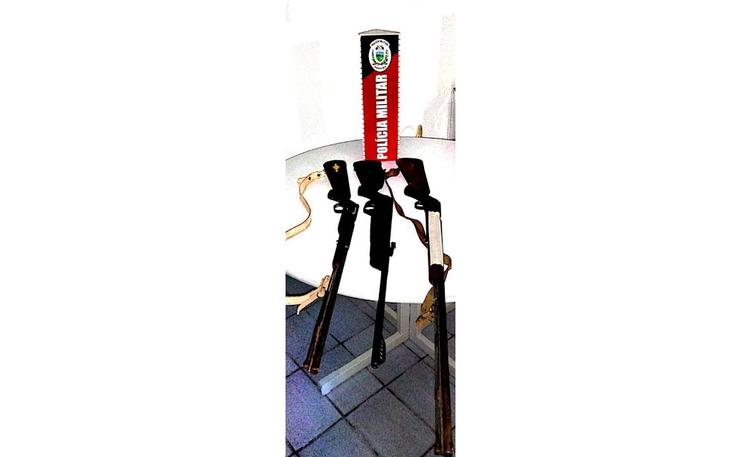 Armas de Fogo e animais silvestres são apreendidos pela Polícia em Junco do Seridó