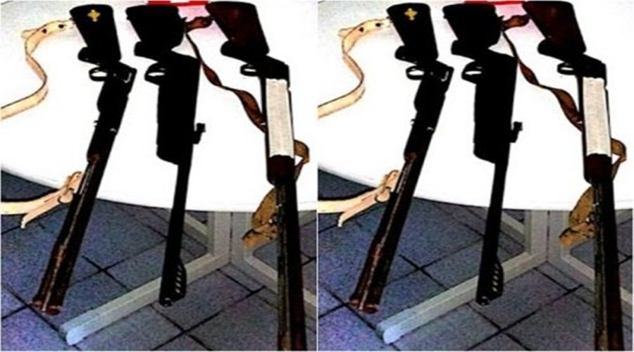 Policiais militares apreendem armas de fogo e aves mantidas em cativeiro em Junco do Seridó