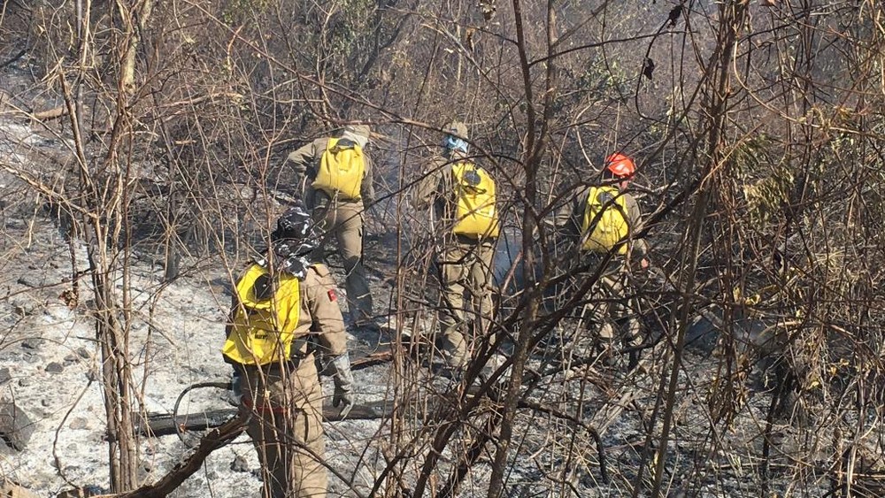Fogo na Serra Preta é controlado após 7 dias, na PB; incêndio pode ter sido criminoso, diz Bombeiros