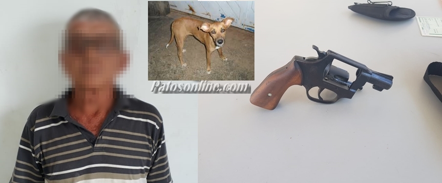 Em Patos: Idoso é flagrado molestando cadela, faz ameaça a companheira, é preso e tem arma apreendida