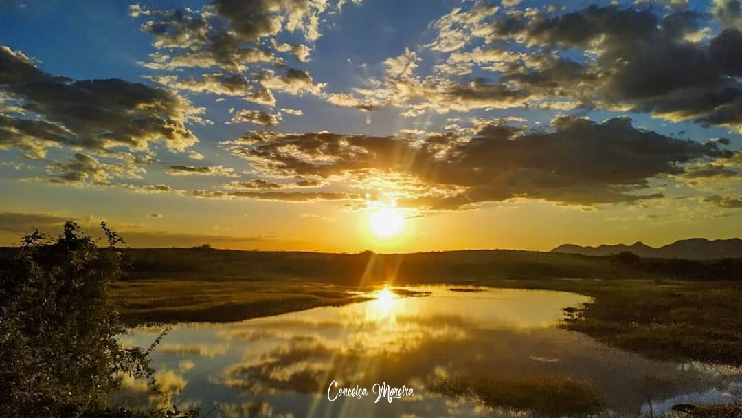 Fotógrafa patoense é premiada com imagem que representa o sertão paraibano