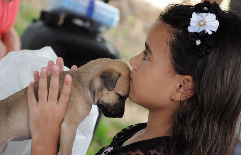 Prefeito interino anuncia início das obras de construção do Centro de Controle de Zoonoses de Patos