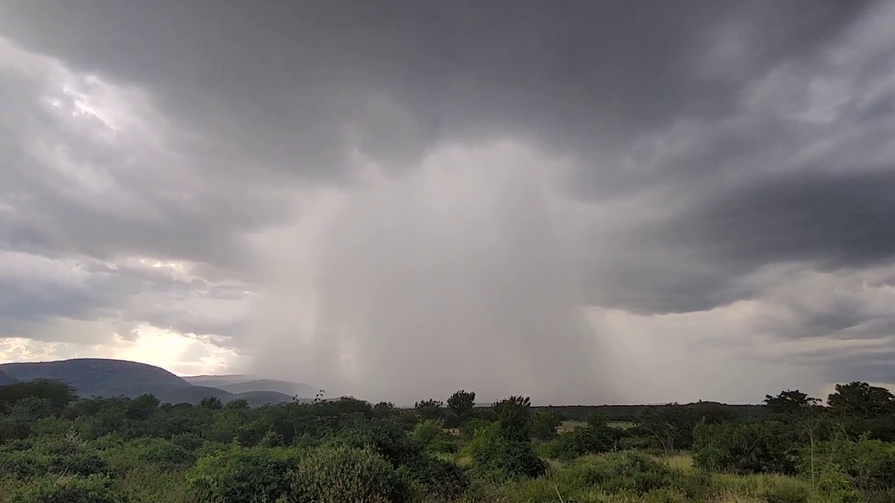 Catingueira foi o município que mais choveu e Junco o que teve o menor índice em 2020. Veja a colocação e os índices de seu município