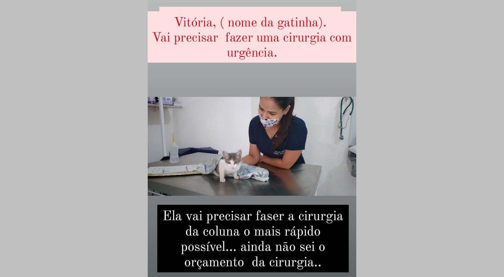 Campanha: Ajude a gatinha Vitória. Ela precisa de você