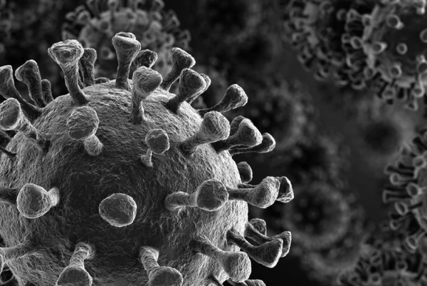 Paraíba tem 31 municípios que ainda não registraram óbitos pelo novo coronavírus