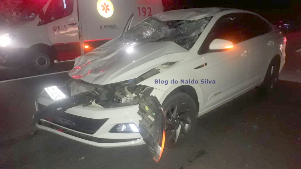 Mais um acidente envolvendo animal na pista é registrado no Sertão