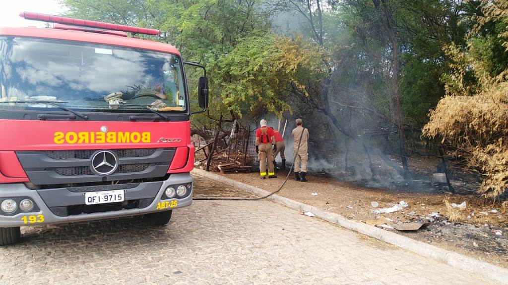 Casinhas de cães de rua são queimadas em incêndio criminoso e revolta voluntários do Adota Patos