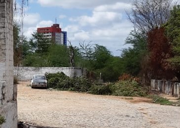 Restos de árvores são colocados próximos ao Ginásio O Rivaldão e causa revolta a moradores