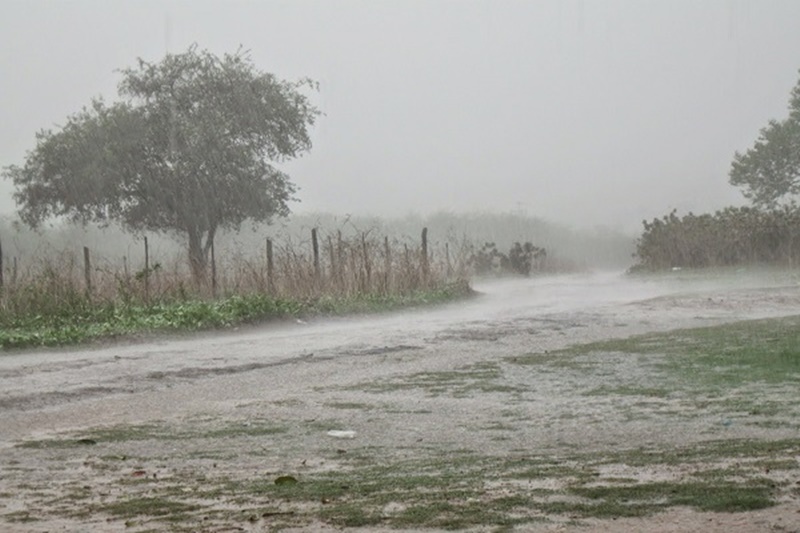 Nordeste terá domingo (21) de chuvas intensas na maioria dos estados