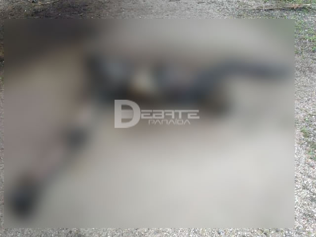 Corpo é encontrado em avançado estado de decomposição na zona rural de Pombal