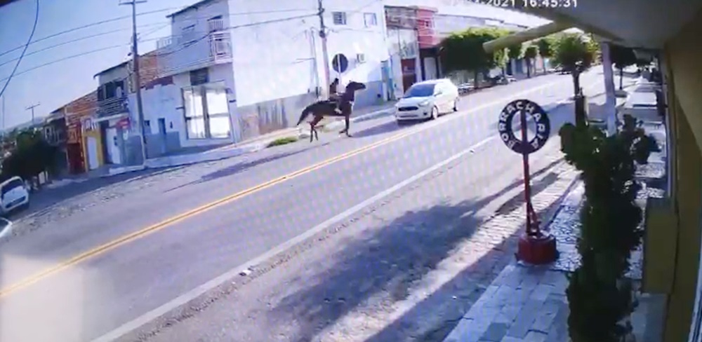 Impressionante: Câmera registra momento exato de acidente entre cavalo e veículo em Condado neste domingo (07). Veja o vídeo