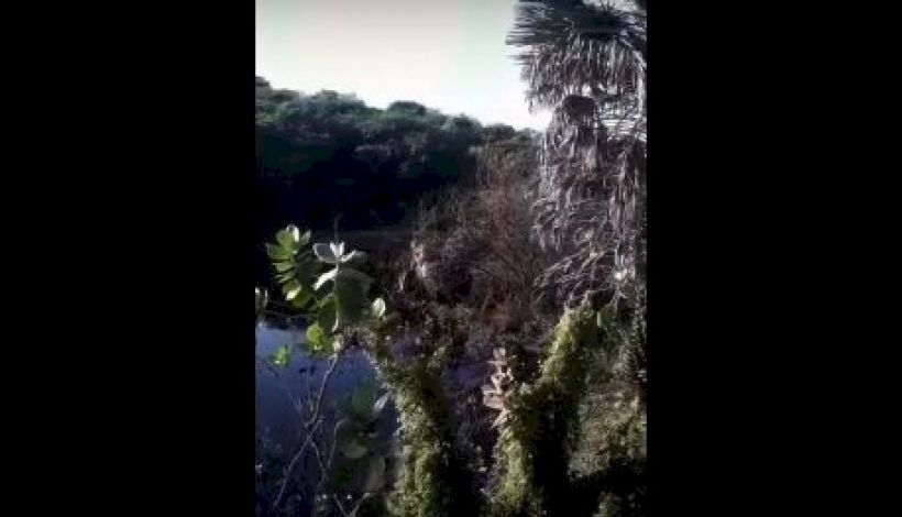 Motorista perde controle de veículo e cai dentro de açude no Vale do Piancó