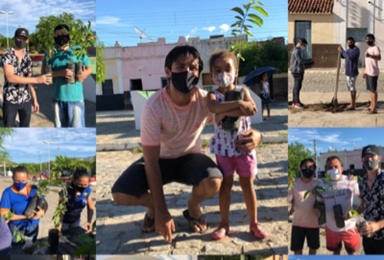 Arborização: Secretaria de Meio Ambiente planta e distribui muda de plantas frutíferas na cidade