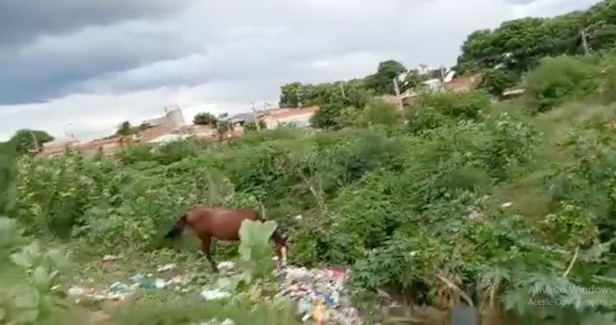 Morador de bairro de Patos, indignado com lixo, esgoto e entulhos, faz vídeo e mostra a situação do local. Veja
