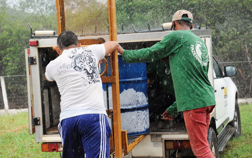 Fazenda Tamanduá faz doação de quase 200 quilos de polpa de manga biodinâmica ao Hospital Regional de Patos