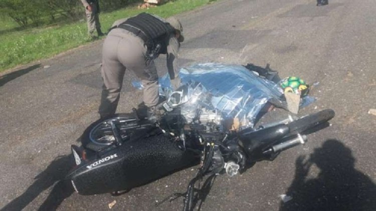 No Sertão: Jovem morre após colidir moto em animal que atravessou a pista