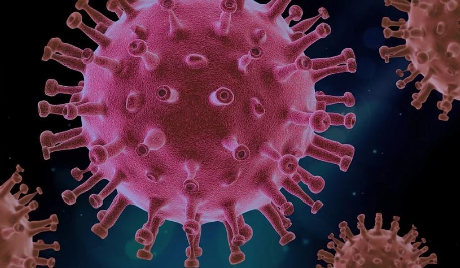 Paraíba confirma 1.368 novos casos de Covid-19 e 31 óbitos nesta quinta