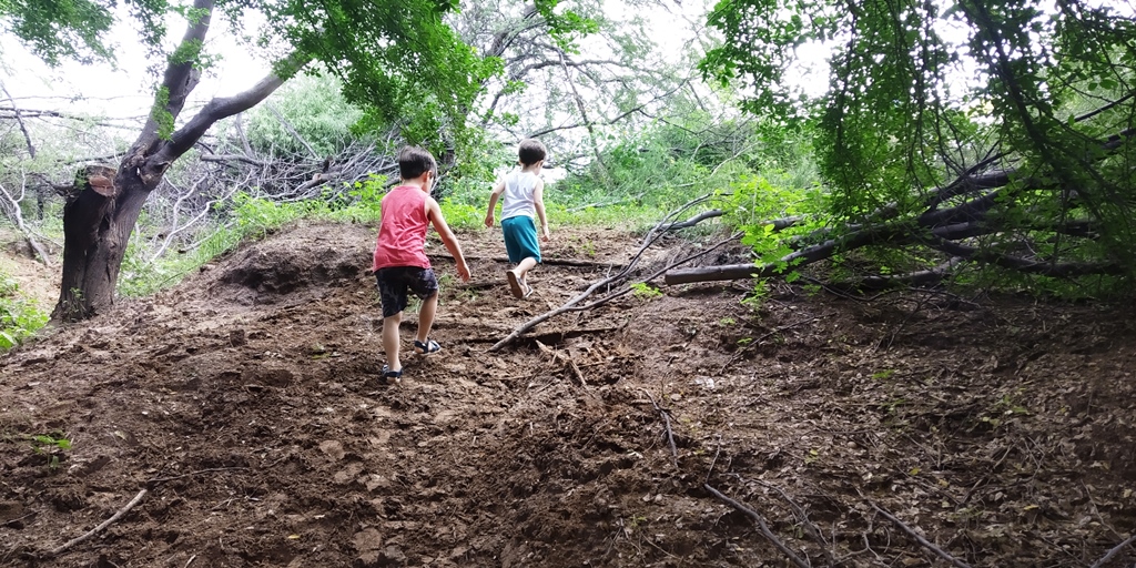 Opinião! Por que Patos não tem um parque urbano público?