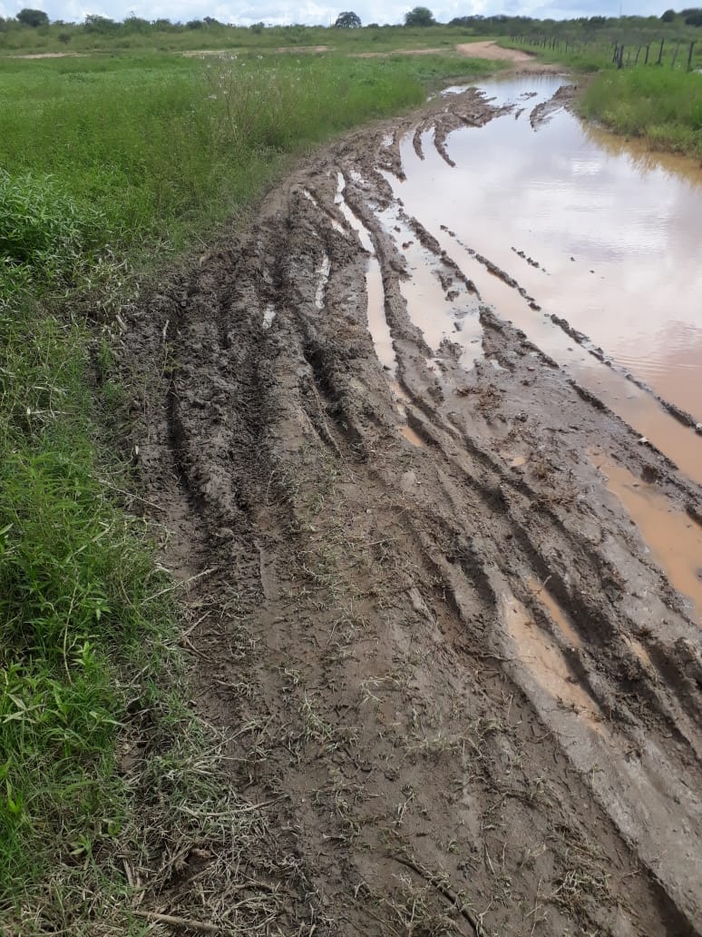 Moradores da Zona Rural de Catingueira voltam a pedir construção de um pontilhão sobre um riacho